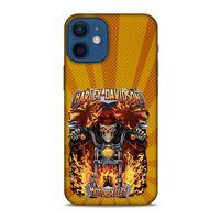Apple iPhone 12 Mini Uyumlu Kılıf Motorsiklet (9) Kılıf Harley Davidson