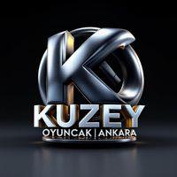 VIP OVAL KIRMIZI KARDAN ADAM YILBAŞI FENERİ GÜN IŞIĞI LED IŞIKLI FENER YILBAŞI HEDİYELERİ 14X8X4 CM