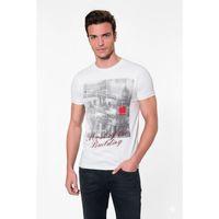 Berrak Erkek  Köprü Baskılı T-shirt 1047