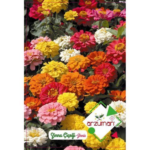 Zinna Çiçeği Tohumu (30 Adet)