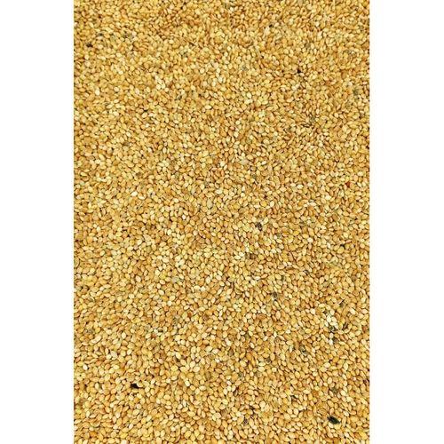 Muhabbet ve Tüm Egzotik Kuşlar İçin Doğal Taze Tane Sarı Darı - 10 kg