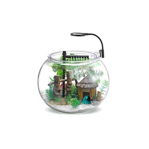 Nubios Masasüstü Beta Seti 12 L Faunus