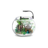 Nubios Masasüstü Beta Seti 12 L Faunus