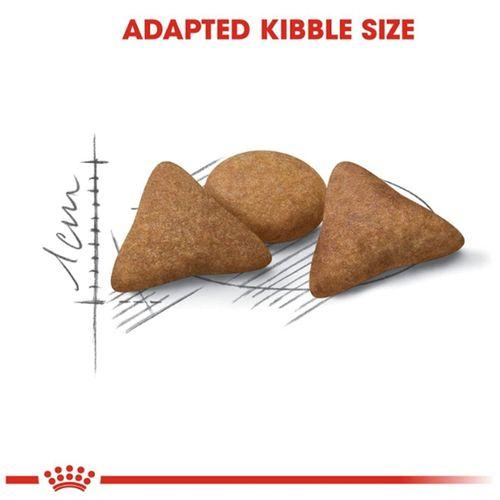 Royal Canin British Shorthair Yetişkin Kuru Kedi Maması 2 Kg