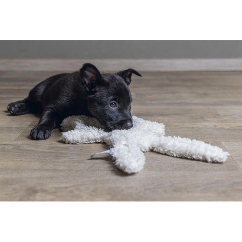 Beeztees Yavru Köpek Oyuncağı, Peluş, Beyaz, 40x22x5cm