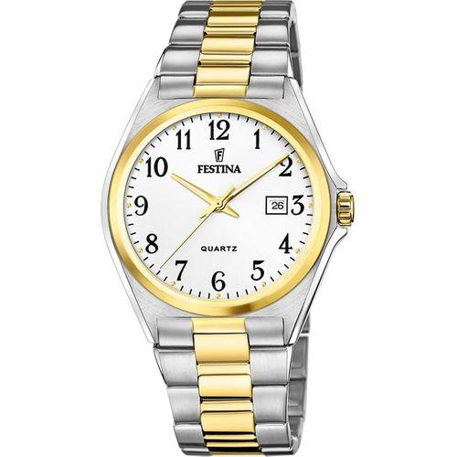 Festina Klasik F20554/1 Quartz Çelik Altın/Gri 40 mm Erkek Kol Saati