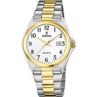 Festina Klasik F20554/1 Quartz Çelik Altın/Gri 40 mm Erkek Kol Saati