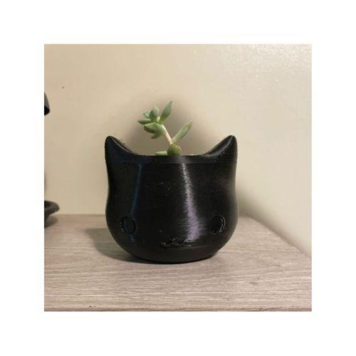 Kedi Saksısı (Bu ürün Sadece Plastik parçadır - Almadan Önce Soru Sorabilirsiniz)