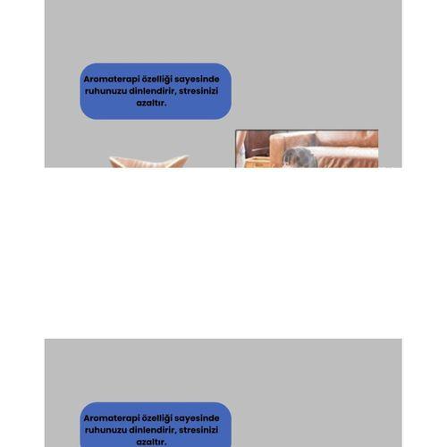 2070 Hava Nemlendirici