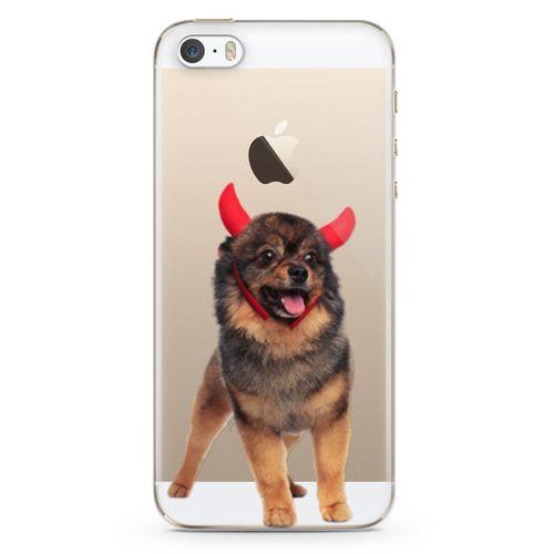 Apple iPhone 5s Kılıf Pom Köpek Arka Kapak Koruma Desenli Full Koruyucu
