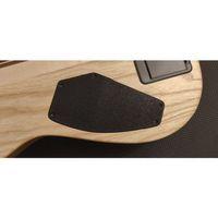 Schecter C-1 Gitar Arka Kapak Plakası-6898166