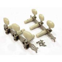 Gitar Aksesuar Klasik Burgu Takımı CGTG