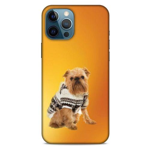 Apple iPhone 12 Pro Max Kılıf Köpek Kıyafetleri (28) Arka Kapak Brüksel Griffonu Hırka