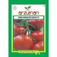 Sırık Domates (Işık F1 Hibrit) Tohumu (10 Adet)