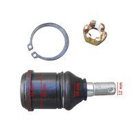 ATV Atv Buggy Alt Rotil Büyük Sekmanlı Ym 12-14-32 Mm İth