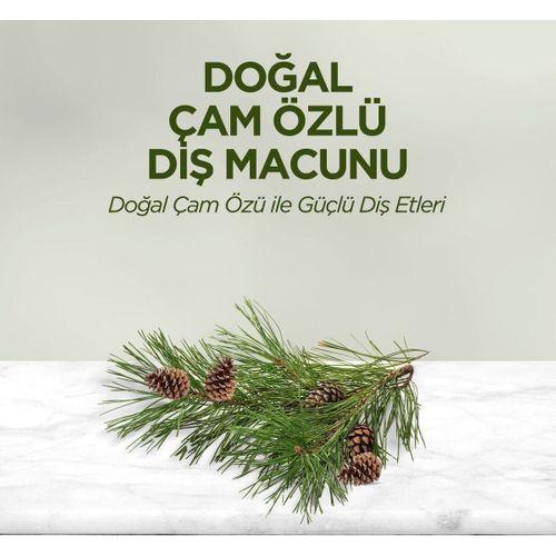 Eyüp Sabri Tuncer Doğal Diş Macunu 90gr Çam Özlü