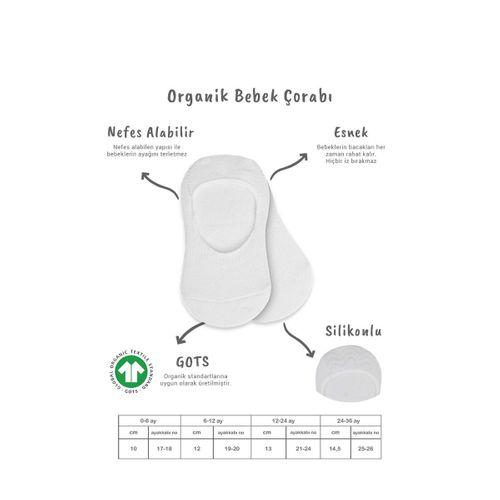 Bistyle Bistyle 2'Li Penye Babet Silikonlu Basic Çorap 30104 Beyaz Beyaz