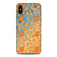 Frutix Kumkuat 02 Apple Iphone X Kılıf Desenli Silikon