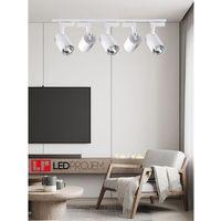 5 Lİ LED RAY SPOT 30W