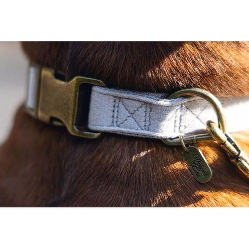 Beeztees DBL Köpek Tasması, Kadife, Gri, 48-70cm, 25mm