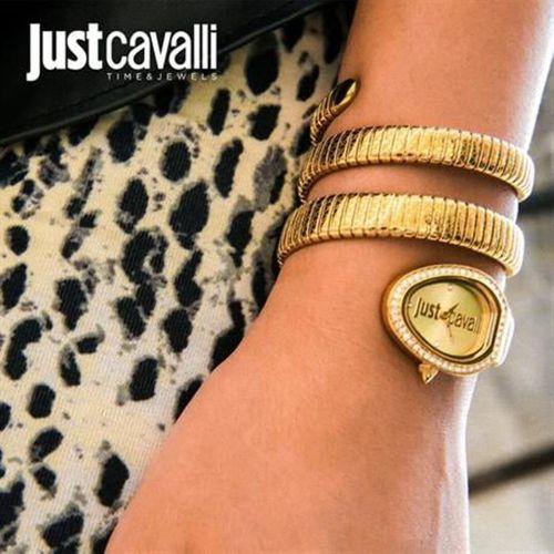 Just Cavalli JC1L163M0025 Kadın Kol Saati
