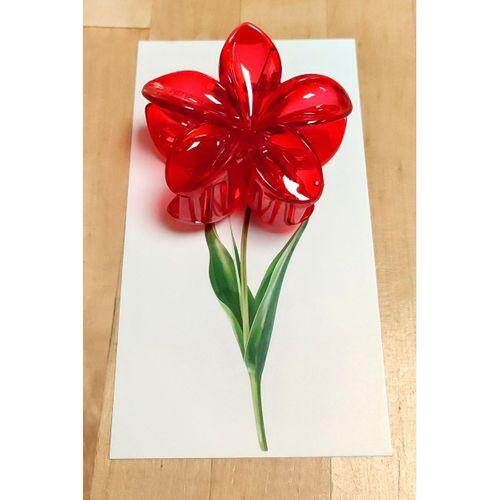 100 Adet Şeffaf Renkli Lotus Toka 8 cm Kına Seti