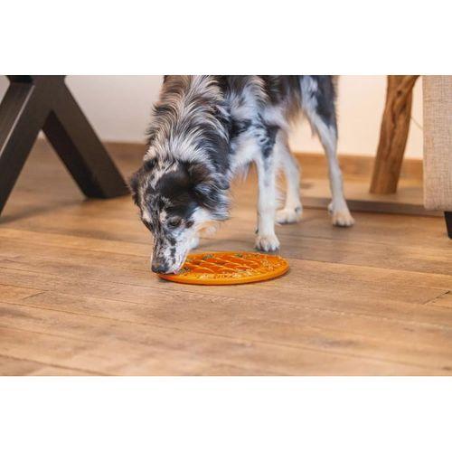 Beeztees Yavru Köpek Mama Yeme Oyuncağı, Daire Şeklinde, Silikon, Turuncu, 30cm