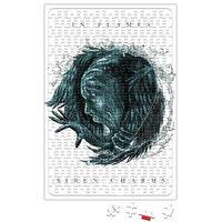 In Flames Puzzle 240 Parça Yapboz