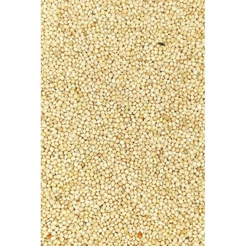 Ak Darı Sade Tozsuz Doğal Taze Kuş Yemi - 3 kg