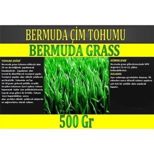 Bermuda Çimi (Ayrı Otu)Tohumu 500 gr