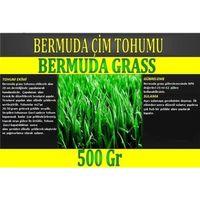 Bermuda Çimi (Ayrı Otu)Tohumu 500 gr