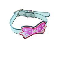 Silikon Kedi Tasması