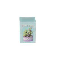 P1256 SİMÜLASYON ÇİÇEK SERİSİ 263 PARÇA BLOCK OYUNCAK