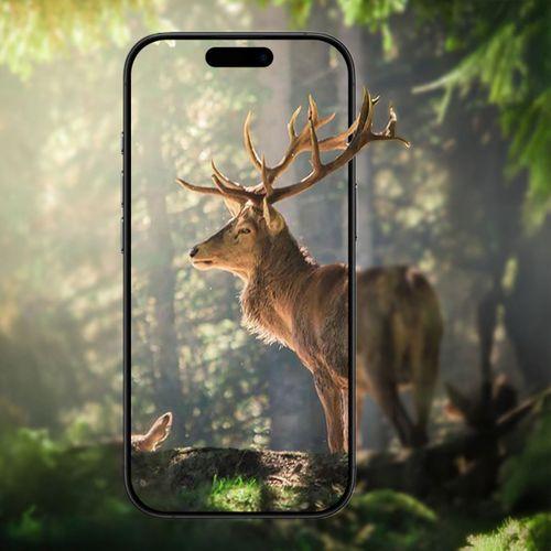 Apple iPhone 17 Zore Mikro Kamera Lens Koruyucu