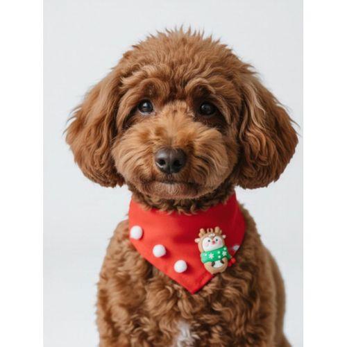 Christmas Squirrel Yılbaşı Köpek Bandanası | Ponponlu Kırmızı Noel Boyun Aksesuarı | Sevimli Sincap Figürlü Köpek Süsü | Küçük Irklar İçin