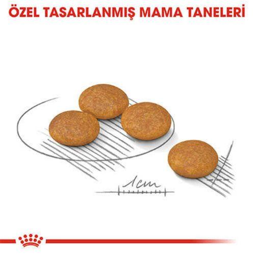 Royal Canin Ccn Mini Derma Yetişkin Köpek Maması 3 Kg