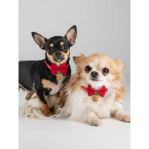 Yılbaşı Geyiği Küçük Irk Köpek Papyon Tasması | Kırmızı Fiyonk Boyun Aksesuarı | Noel Temalı Köpek Süsü