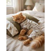 Breeds & Friends Uyku Takımı | Desenli Pamuklu Penye Kedi Tulumu ve Mini Yastık | Tüy Dökülmesini Azaltır