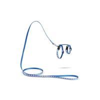 Beeztees Yavru Kedi Göğüs Tasması ve Gezdirme Kayışı 120cm, Mavi, 16-25cm Boyun, 23-36cm Göğüs