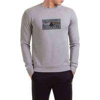 Pink Floyd The Pink Side Baskılı Gri Erkek Sweatshirt