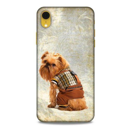 Apple iPhone XR Kılıf Köpek Kıyafetleri (25) Antişok Kapak Brussels Griffon Sweatshirt