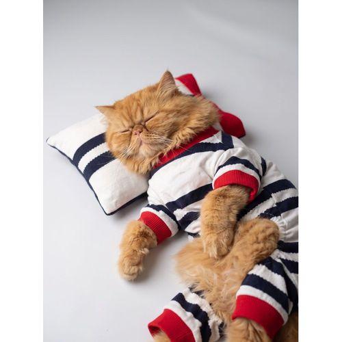 Mon Amour Çizgili Kedi Uyku Seti | Penye Kedi Tulum ve Mini Yastık Takımı | Pamuklu | Tüy Dökülmesini Azaltır |