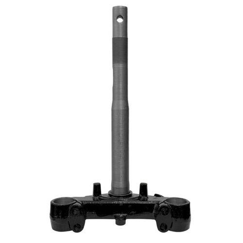 ÖN MAŞA KUBA ZENZERO