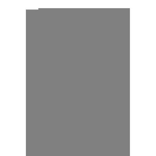 6 Adet Pamuklu Esnek Kadın Slip Bikini Külot Geniş Lastikli Baskılı