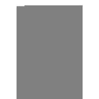 6 Adet Pamuklu Esnek Kadın Slip Bikini Külot Geniş Lastikli Baskılı