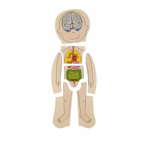 Eğitici Çocuk Oyuncak  Woody Oyna Öğren Katmanlı İnsan Vücudu Ahşap Puzzle 4 x 7 Parça
