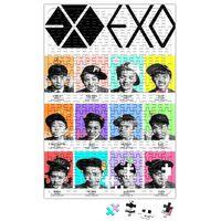 Exo Puzzle 240 Parça Yapboz