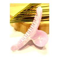 Monalisa Home 12 cm Lüks Gösterişli  Parlak Renki Kıstırma Toka
