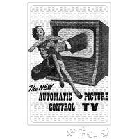 Tv Control Puzzle 240 Parça Yapboz