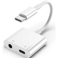 ZR733 Gl054-1 Type-C Aux Şarj Çevirici